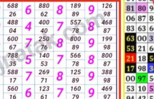 पुण्यात मोठी कारवाई! हडपसर परिसरात मोठ्या प्रमाणावर अवैध साठा