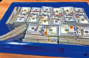 वह्यांच्या पानांमध्ये लपवलेले डॉलर्स – पुण्यातून दुबईला गेलेल्या विद्यार्थ्यांच्या बॅगेतून ४.४७ कोटींचे परदेशी चलन जप्त!